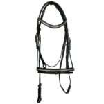 Bridle