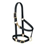 Halter