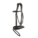 Bridle