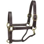 Halter