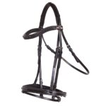 Bridle