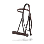 Bridle