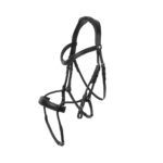 Bridle