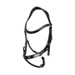 Bridle